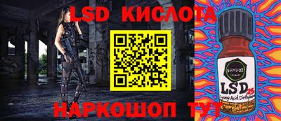 мет Камышлов