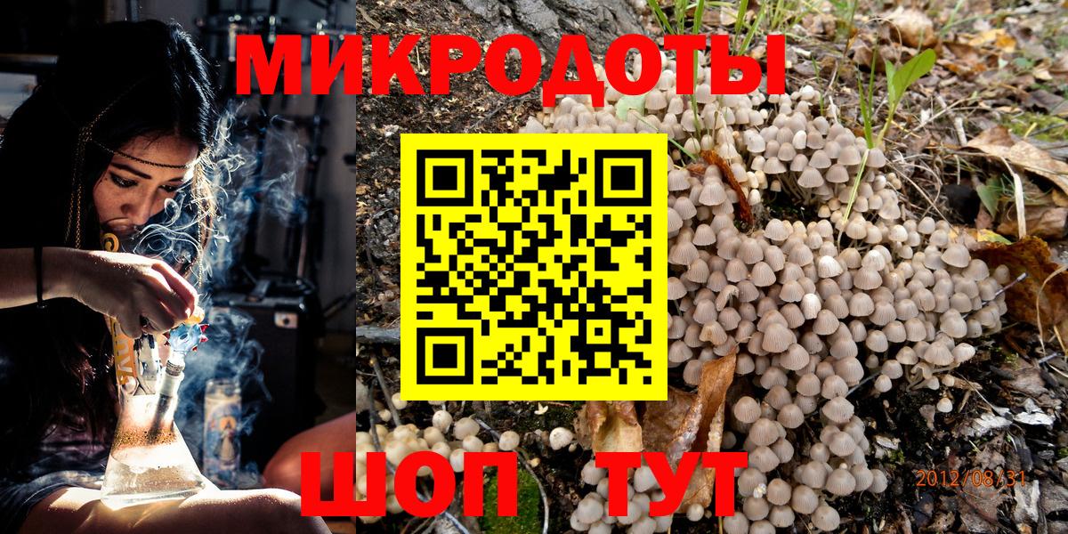 Псилоцибиновые грибы мицелий  Псилоцибиновые грибы прущие грибы  Вход с VPN  Коммунар 